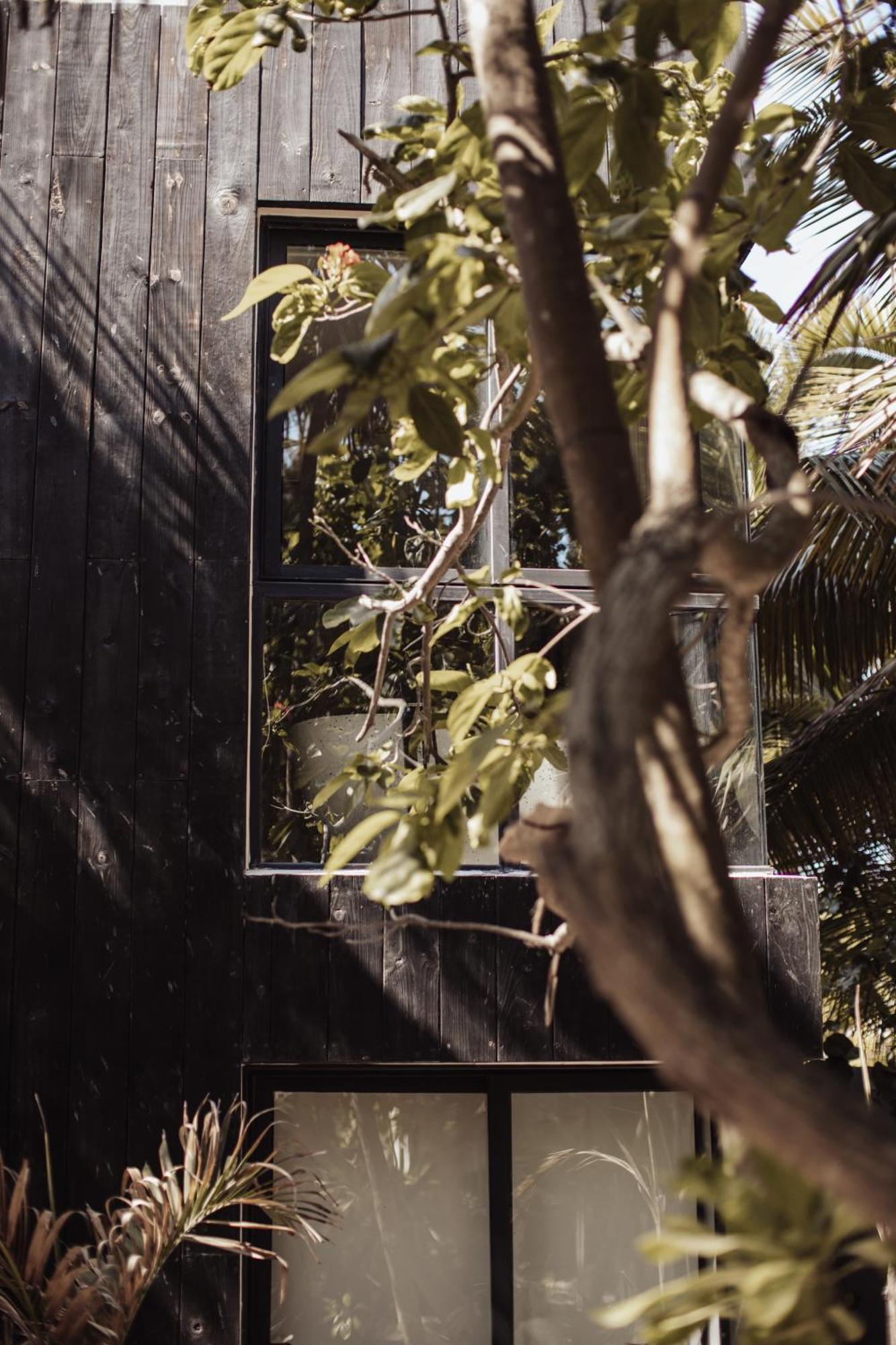 Hotel Umi Tulum Extérieur photo