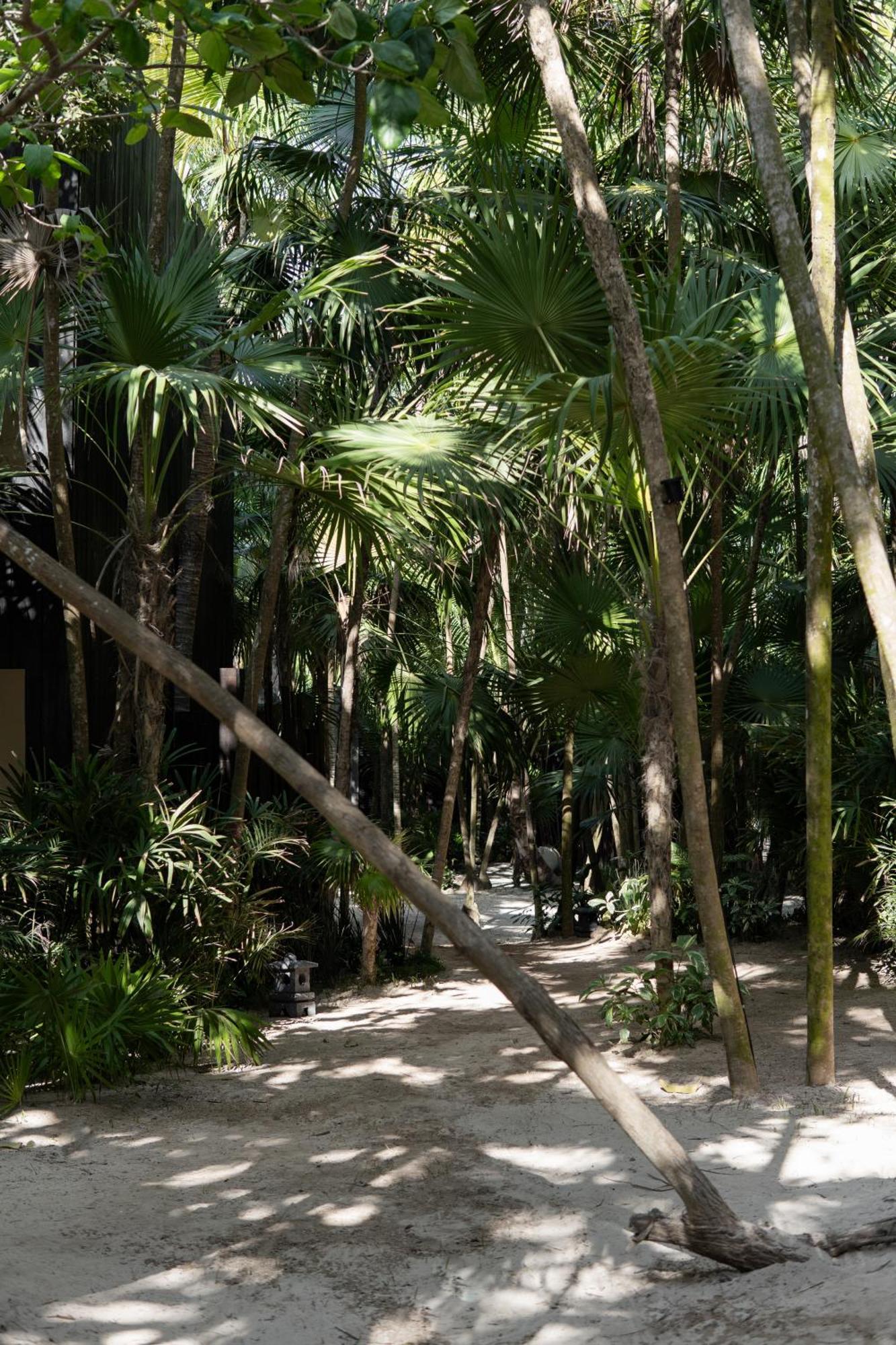 Hotel Umi Tulum Extérieur photo