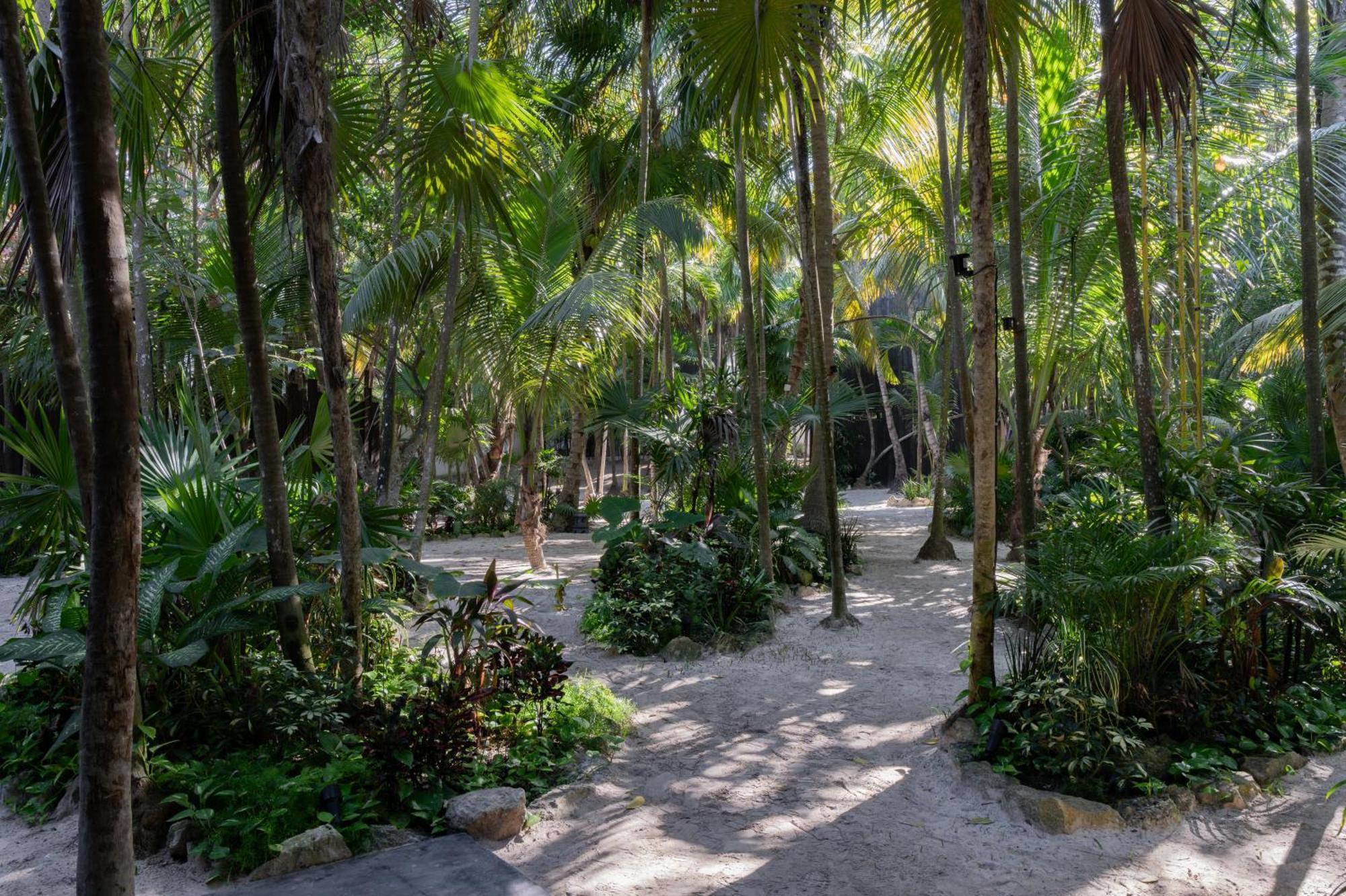 Hotel Umi Tulum Extérieur photo